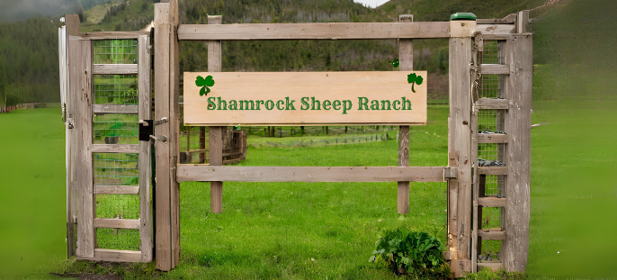 Shamrock Sheep Ranch sign